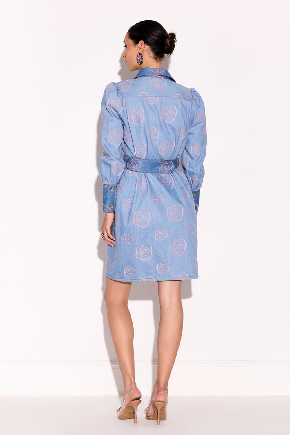 The Denim Shirt Dress
