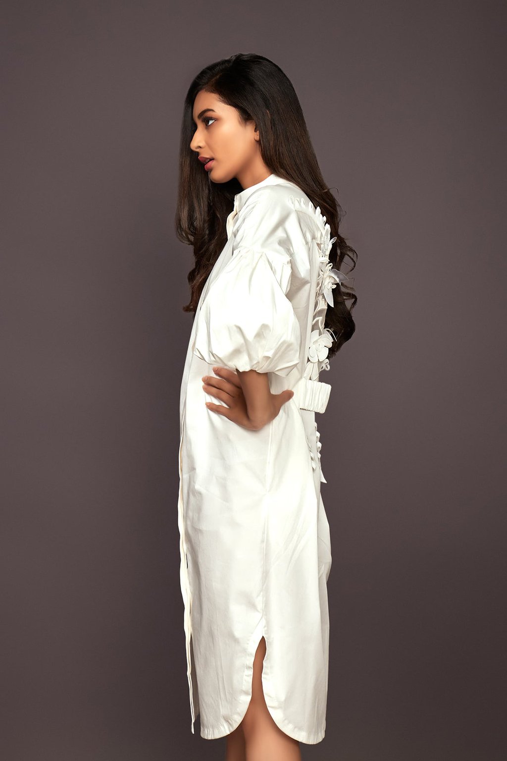 Shirt Dress with Layered Sleeves