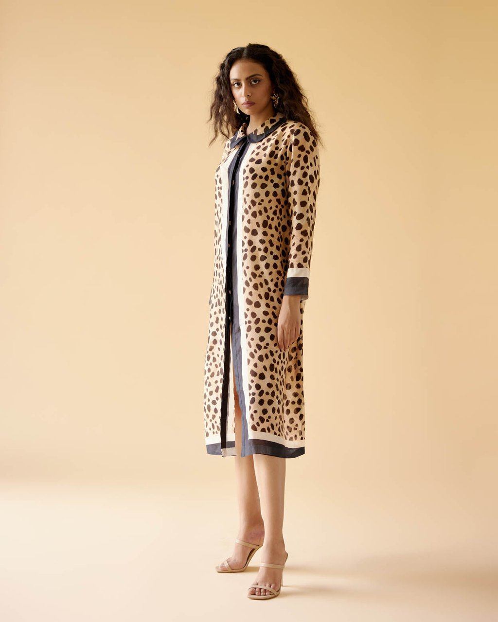 Pride of Wild Shirt Dress